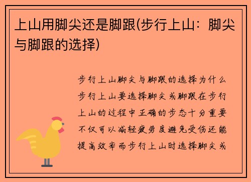 上山用脚尖还是脚跟(步行上山：脚尖与脚跟的选择)